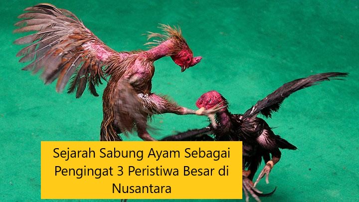 Sejarah Sabung Ayam Sebagai Pengingat 3 Peristiwa Besar di Nusantara